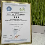 Luxus Airport