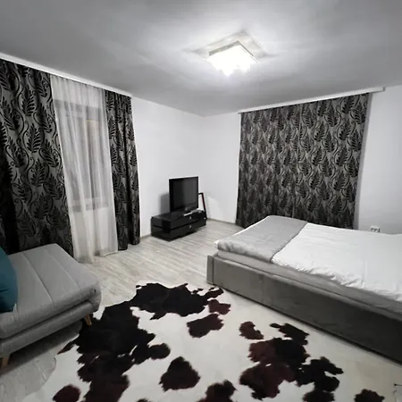 Luxus Airport 클루지나포카