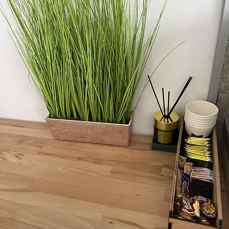 Luxus Airport Lägenhet