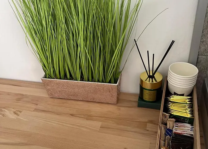 Luxus Airport 아파트